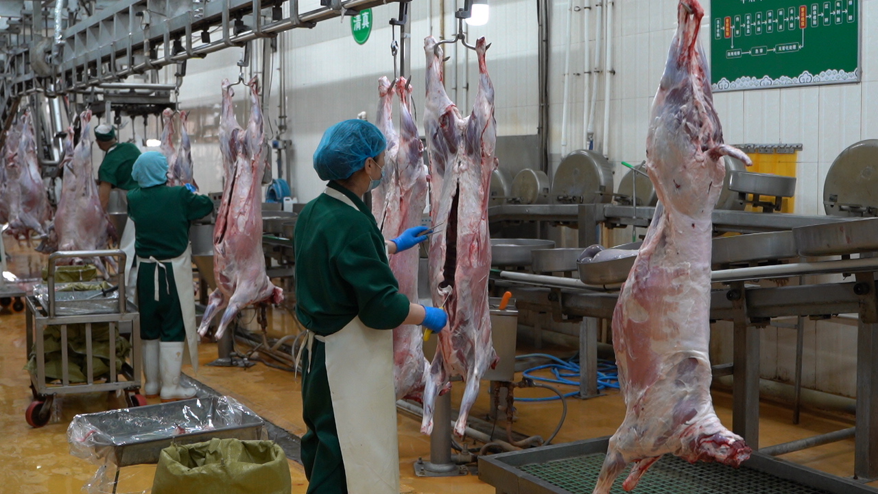 阿牧特冷鮮羊肉：品質(zhì)與口感的完美融合